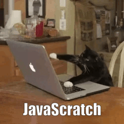 kat die op laptop typt