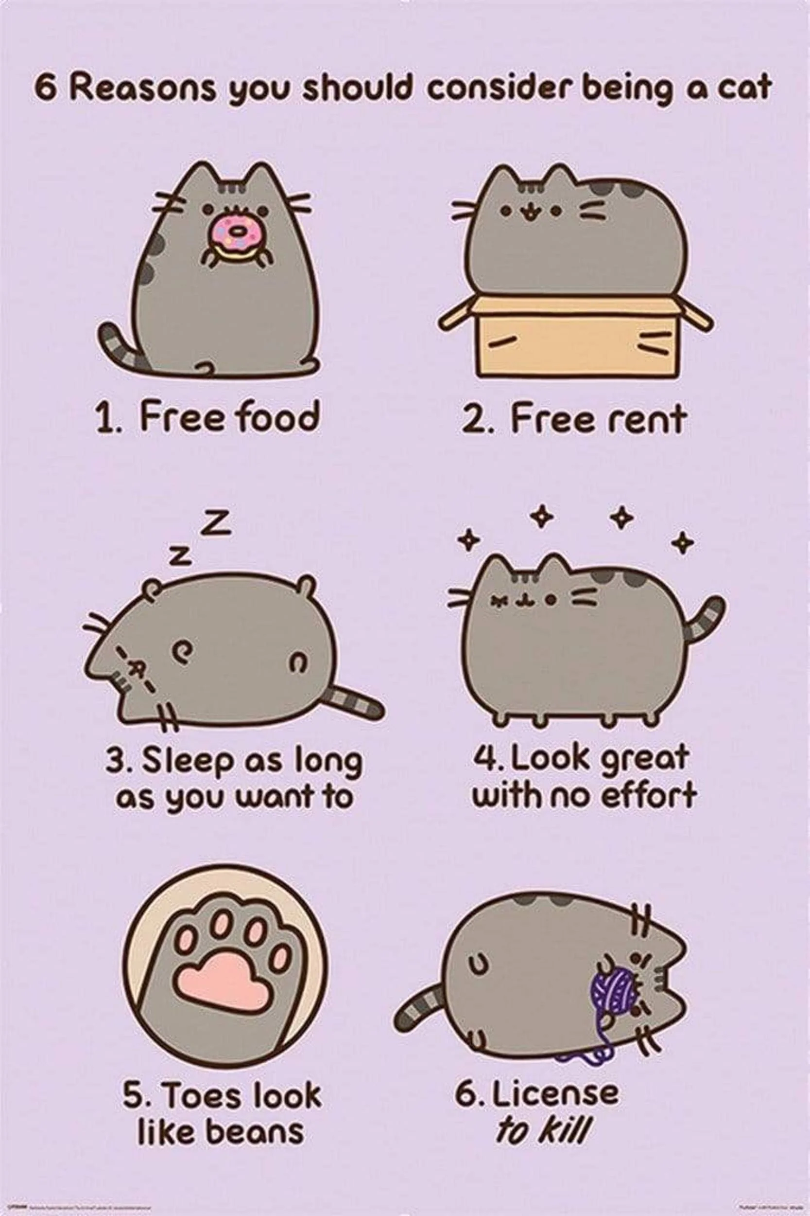 6 Reasons why you should be a cat. 1. Free food. 2. Free rent. 3. Sleep as long as you want to. 4. Look great with no effort. 5. Toes look like beans. 6. Lisence to kill.